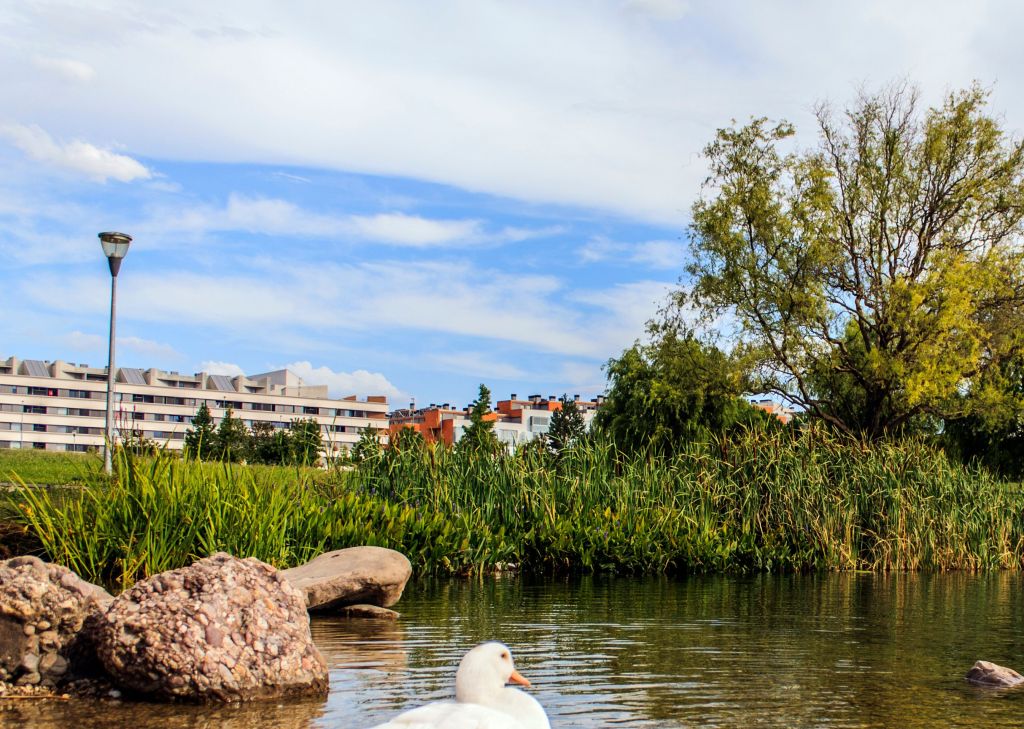 Egüés promueve la eliminación del amianto y avanza en la creación de una comunidad energética&nbsp;local