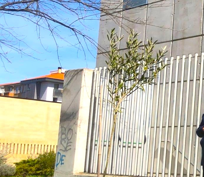 Berriozar refuerza su compromiso solidario y&nbsp;pacifista