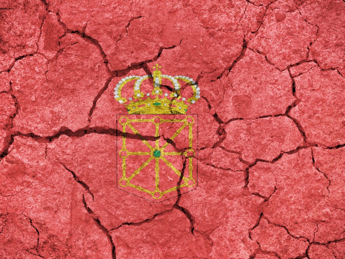 Podemos Navarra cree que la dimisión del Consejero de Cohesión Territorial era la única salida del&nbsp;Gobierno